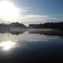 大安トラウトレイク釣果